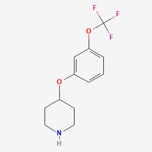 molecular formula C12H14F3NO2 B1613612 4-[3-(Trifluoromethoxy)phenoxy]piperidine CAS No. 459819-38-6