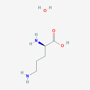 molecular formula C5H14N2O3 B1614111 D-Ornithine monohydrate CAS No. 207734-73-4