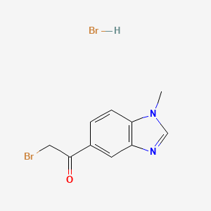 molecular formula C10H10Br2N2O B1614217 2-Bromo-1-(1-methyl-1H-benzo[d]imidazol-5-yl)ethanone hydrobromide CAS No. 944450-78-6
