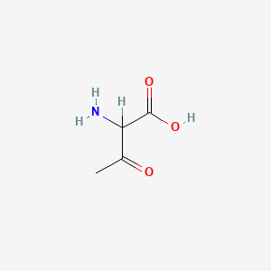 molecular formula C4H7NO3 B1614672 2-Amino-3-oxobutanoic acid CAS No. 6531-42-6