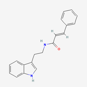 molecular formula C19H18N2O B1615049 Cinamoiltriptamina CAS No. 212707-61-4