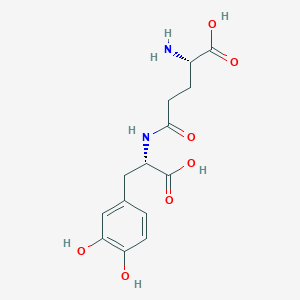 molecular formula C14H18N2O7 B1615158 gamma-Glutamyldopa CAS No. 52370-58-8