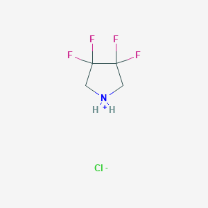 molecular formula C4H6ClF4N B161542 3,3,4,4-四氟吡咯烷盐酸盐 CAS No. 1841-00-5