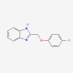 molecular formula C14H11ClN2O B1615576 2-[(4-chlorophenoxy)methyl]-1H-benzimidazole CAS No. 3156-18-1