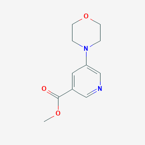 B1616036 Methyl 5-morpholinonicotinate CAS No. 500865-54-3