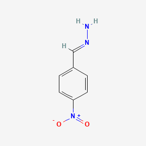 B1616122 4-Nitrobenzaldehyde hydrazone CAS No. 6310-10-7