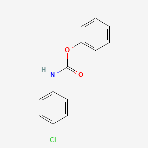 molecular formula C13H10ClNO2 B1616806 phenyl N-(4-chlorophenyl)carbamate CAS No. 50882-28-5