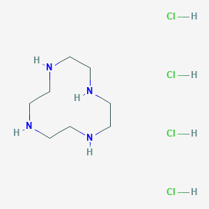B161692 1,4,7,10-Tetraazacyclododecane tetrahydrochloride CAS No. 10045-25-7