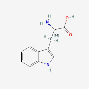 molecular formula C11H12N2O2 B1616949 L-Tryptophan-beta-14C CAS No. 50373-34-7