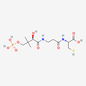 molecular formula C12H23N2O9PS B1617822 N-[(R)-4-phosphopantothenoyl]-L-cysteine CAS No. 7196-09-0