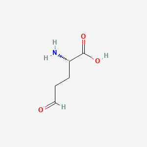 molecular formula C5H9NO3 B1618535 (2S)-2-amino-5-oxopentanoic acid CAS No. 496-92-4