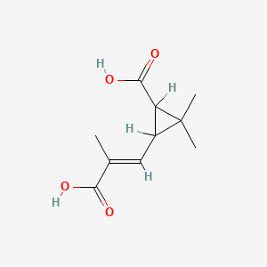 molecular formula C10H14O4 B1619633 Chrysanthemumdicarboxylic acid CAS No. 497-95-0