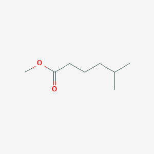 molecular formula C8H16O2 B1619943 Methyl 5-methylhexanoate CAS No. 2177-83-5
