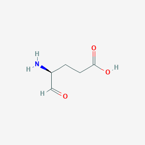 B1620169 Glutamate-1-semialdehyde CAS No. 68462-55-5