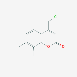 molecular formula C12H11ClO2 B1620283 4-(chloromethyl)-7,8-dimethyl-2H-chromen-2-one CAS No. 41295-57-2