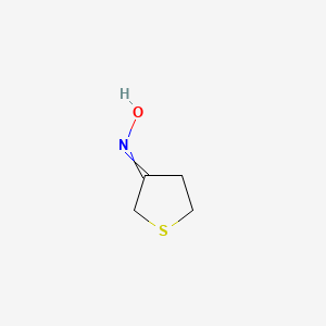 molecular formula C4H7NOS B1621450 Tetrahydrothiophen-3-one oxime CAS No. 24030-02-2