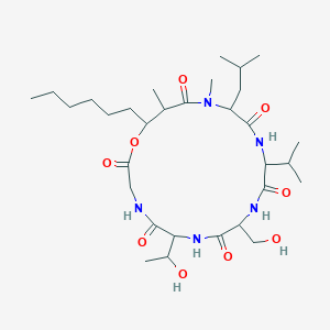 molecular formula C31H55N5O9 B1622661 Antibiotic SF 1902A3 CAS No. 74504-49-7