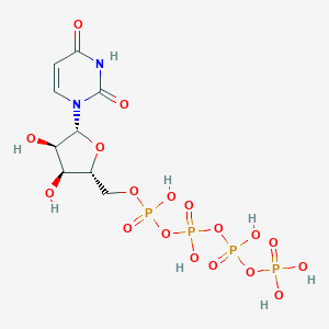 molecular formula C9H16N2O18P4 B162272 尿苷 5'-四磷酸 CAS No. 10003-94-8