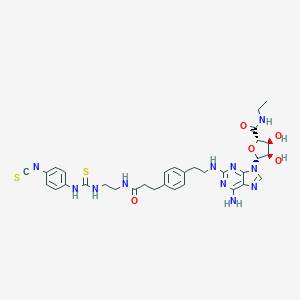 B162329 4-Isothiocyanatophenylaminothiocarbonyl-2-((2-aminoethylaminocarbonylethyl)phenylethylamino)-5'-N-ethylcarboxamidoadenosine CAS No. 129666-43-9