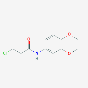 molecular formula C11H12ClNO3 B1624007 3-chloro-N-(2,3-dihydro-1,4-benzodioxin-6-yl)propanamide CAS No. 42477-08-7