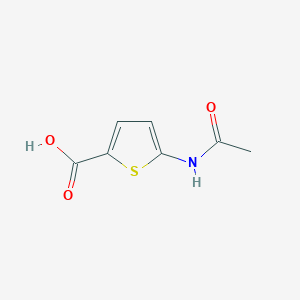 molecular formula C7H7NO3S B1624014 5-(乙酰氨基)噻吩-2-羧酸 CAS No. 89499-46-7