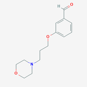 molecular formula C14H19NO3 B1625328 3-[3-(4-Morpholinyl)propoxy]benzaldehyde CAS No. 82625-44-3