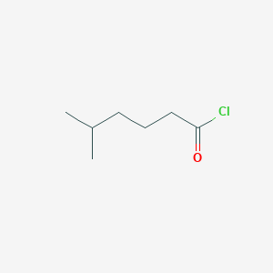 5-Methylhexanoyl chloride