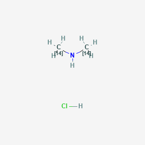 molecular formula C2H8ClN B1625687 Methanamine-14C, N-(methyl-14C)-, hydrochloride CAS No. 73607-84-8