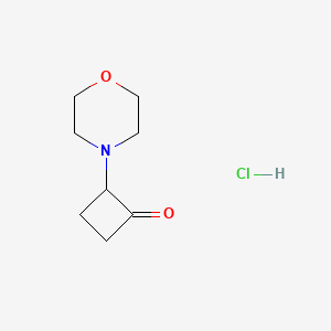 B1627032 2-Morpholinocyclobutanone hydrochloride CAS No. 36461-20-8