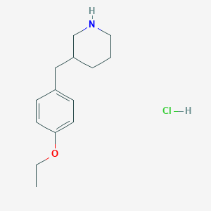 molecular formula C14H22ClNO B1627210 3-(4-乙氧基苄基)-哌啶盐酸盐 CAS No. 1170629-29-4