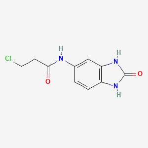B1627250 3-chloro-N-(2-oxo-2,3-dihydro-1H-benzimidazol-5-yl)propanamide CAS No. 915920-69-3