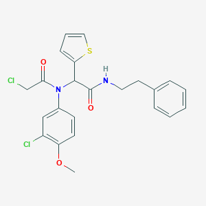 molecular formula C23H22Cl2N2O3S B162735 2-[(氯乙酰基)(3-氯-4-甲氧基苯基)氨基]-N-(2-苯乙基)-2-噻吩-2-基乙酰胺 CAS No. 1035072-16-2