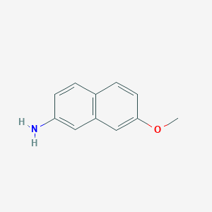 molecular formula C11H11NO B1627622 7-甲氧基萘-2-胺 CAS No. 92287-46-2
