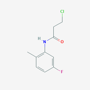 molecular formula C10H11ClFNO B1627802 3-氯-N-(5-氟-2-甲基苯基)丙酰胺 CAS No. 908494-83-7