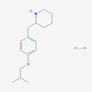 molecular formula C16H26ClNO B1627805 2-(4-Isobutoxy-benzyl)-piperidine hydrochloride CAS No. 1170150-79-4