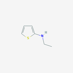 molecular formula C6H9NS B1628005 N-Ethylthiophen-2-amine CAS No. 203730-54-5