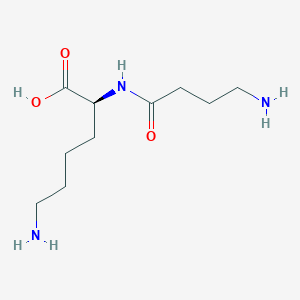 molecular formula C10H21N3O3 B1628754 N~2~-(4-Aminobutanoyl)-L-lysine CAS No. 22468-02-6