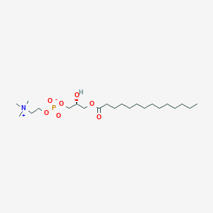 molecular formula C22H46NO7P B162887 1-肉豆蔻酰-sn-甘油-3-磷酸胆碱 CAS No. 20559-16-4