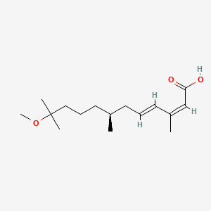 B1629048 (2Z,4E,7S)-11-Methoxy-3,7,11-trimethyl-2,4-dodecadienoic acid CAS No. 207597-76-0