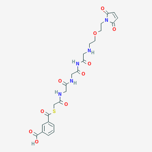 molecular formula C24H27N5O10S B162928 N-(5-Maleimido-3-oxapentyl)(2-(3-carboxybenzoyl)thio)acetylglycyl-glycyl-glycinamide CAS No. 131274-05-0
