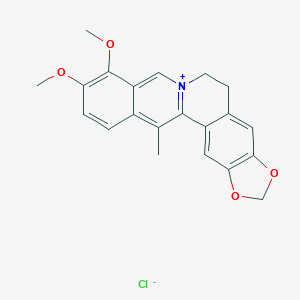 molecular formula C21H20ClNO4 B162956 5,6-Dihydro-9,10-dimethoxy-13-methylbenzo(g)-1,3-benzodioxolo(5,6-a)quinolizinium chloride CAS No. 54260-72-9