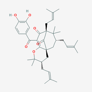 molecular formula C38H50O6 B162963 Isogarcinol CAS No. 71117-97-0