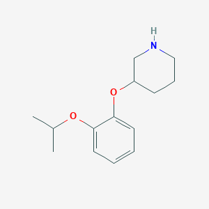 molecular formula C14H21NO2 B1629653 3-(2-Isopropoxyphenoxy)piperidine CAS No. 902837-37-0