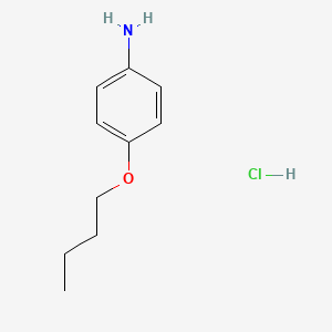 molecular formula C10H16ClNO B1629846 4-Butyloxyphenylamine hydrochloride CAS No. 6927-73-7