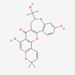 B1631049 Neocyclomorusin CAS No. 62596-35-4