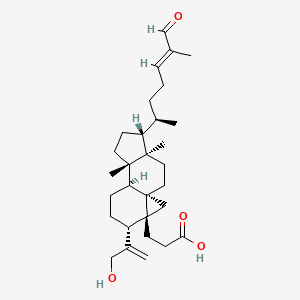 B1631386 Coronalolic acid CAS No. 268214-52-4