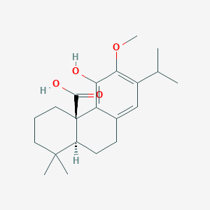 molecular formula C21H30O4 B1631458 12-O-甲基鼠尾草酸 CAS No. 62201-71-2