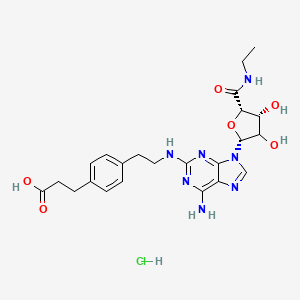 molecular formula C23H30ClN7O6 B1631515 3-[4-[2-[[6-amino-9-[(2R,4R,5S)-5-(ethylcarbamoyl)-3,4-dihydroxyoxolan-2-yl]purin-2-yl]amino]ethyl]phenyl]propanoic acid;hydrochloride 