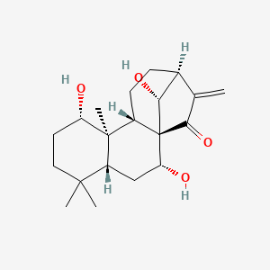 molecular formula C20H30O4 B1631712 亀叶斑素 CAS No. 39388-57-3