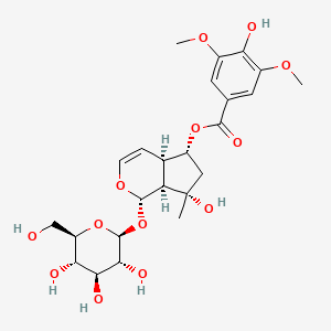 molecular formula C24H32O13 B1631976 6-O-丁香酰阿魏酸 CAS No. 144049-72-9